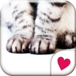 cat hands[homee themepack] android application logo